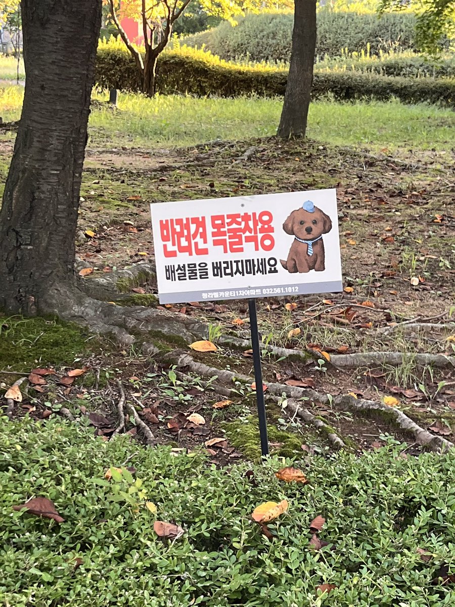 adepensy's tweet photo. 저랑도 좀 놀아주세요. 제발. https://t.co/4HXTSstj3R