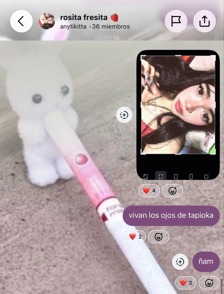 anytikitta's tweet photo. https://t.co/9HYWpDp96N