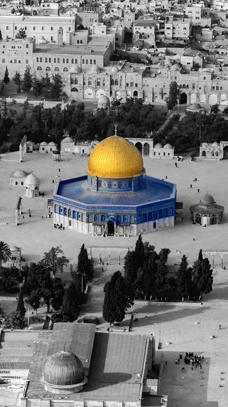 yassiraljabrty's tweet photo. ارفعوا الحصار عن #غزة

#EndTheGazaBlockade

لا تتوقفوا عن الحديث عن #غزة،
ولا تتوقفوا عن الدعاء لأهلنا فيها.

فالكلمة موقف، والدعاء نصرة، 
والخذلان يبدأ حين نصمت. https://t.co/skO1h9Mlx6