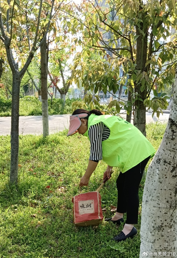 LouisaButa05's tweet photo. Join our community garden clean-up this Saturday 9AM! Bring gloves u0026 let’s spruce up our green space together. Free snacks provided! https://t.co/sLupdrTkSP