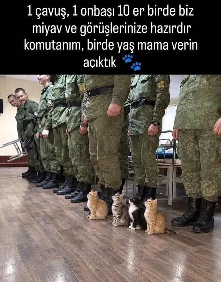 AliSere20's tweet photo. Sabah içtiması 🤗😻 https://t.co/rFSQJTkSaJ