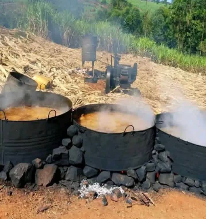MbwaLegend's tweet photo. Deep in the heart of the village, there’s a jaggery processing plant! 😂

Well… sorta. You can call it that. Huku ocha, we make things work with what we have. 💪🏾

This is how sukari nguru comes to life; from fresh sugarcane juice to that delicious, rich brown goodness. 

How many of you know how sukari nguru is made? Have you ever tasted this greatness?