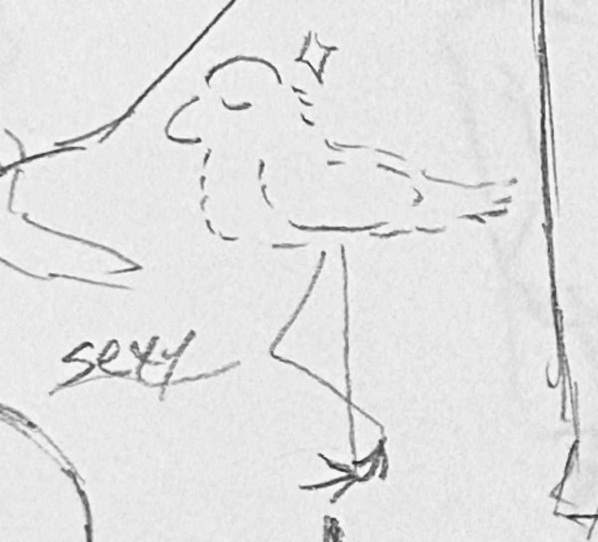 mintuku228's tweet photo. 先に見せるね、𝓼𝓮𝔁𝔂鳥 https://t.co/AY8G9loDzH