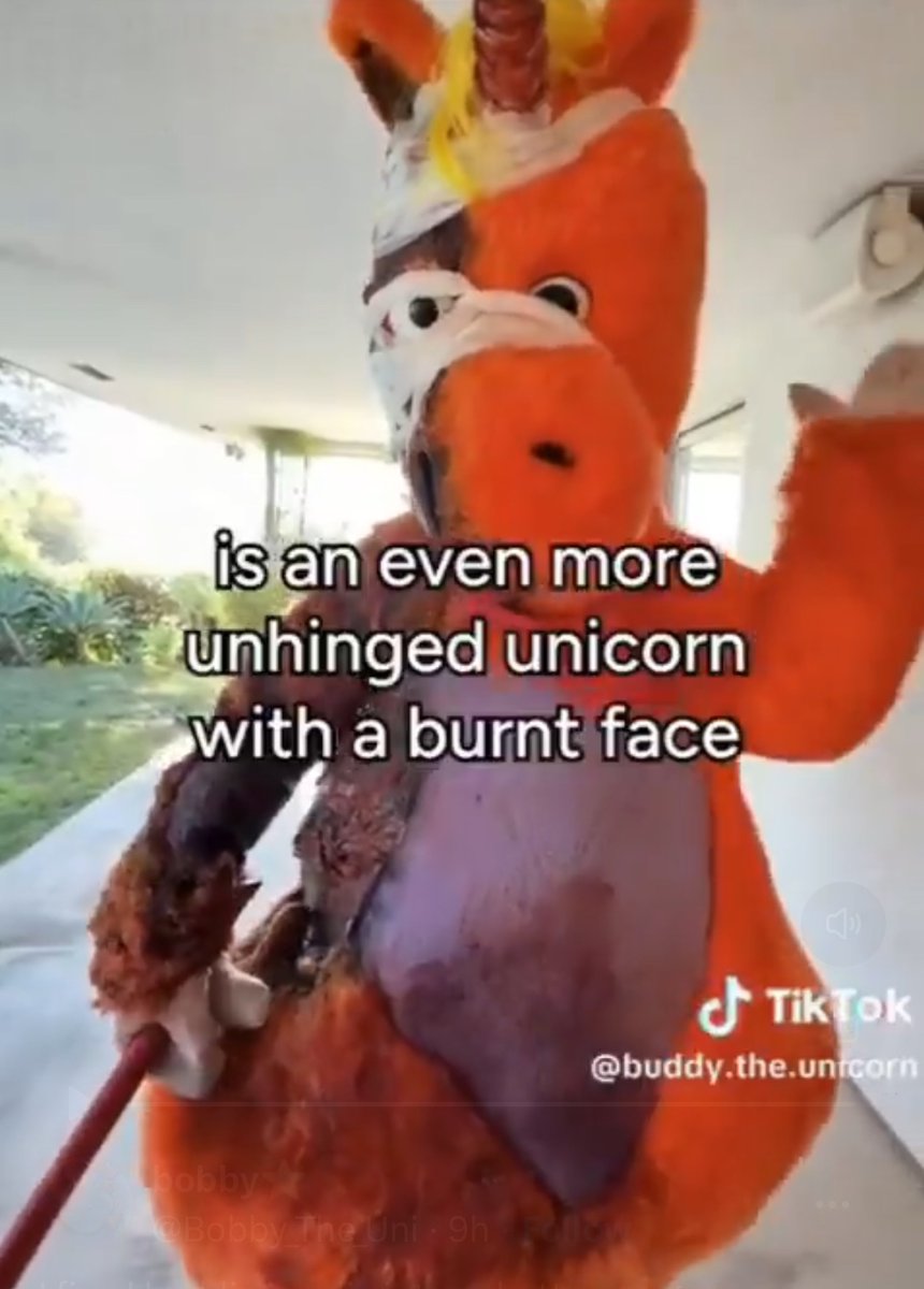 azulinss_'s tweet photo. I will forever stand by the fact that burnt faced buddy is SO insanely hot https://t.co/hHRV9wX1gi
