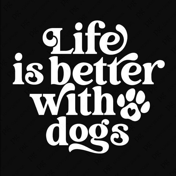 amanda83vh2's tweet photo. From the quietest cuddle to the wildest playtime, these are the moments that make life feel special 🐾❤️ Come along and subscribe
Link on my bio 
#minichat #snapchat #teenageee #AUSummit2026 #USA2026 https://t.co/lbu1Jl7ljj