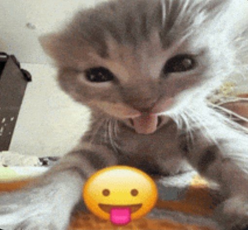 Andeerskt8's tweet photo. 4 días libres de la vida godín 🤪👋🏻
Hasta nuncaaaa jjajajaj https://t.co/rgt5cl37Ut