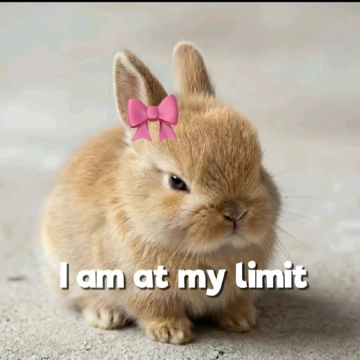 hisonlydaughtex's tweet photo. @Himidk1100 https://t.co/gNF3j0Fk1d
