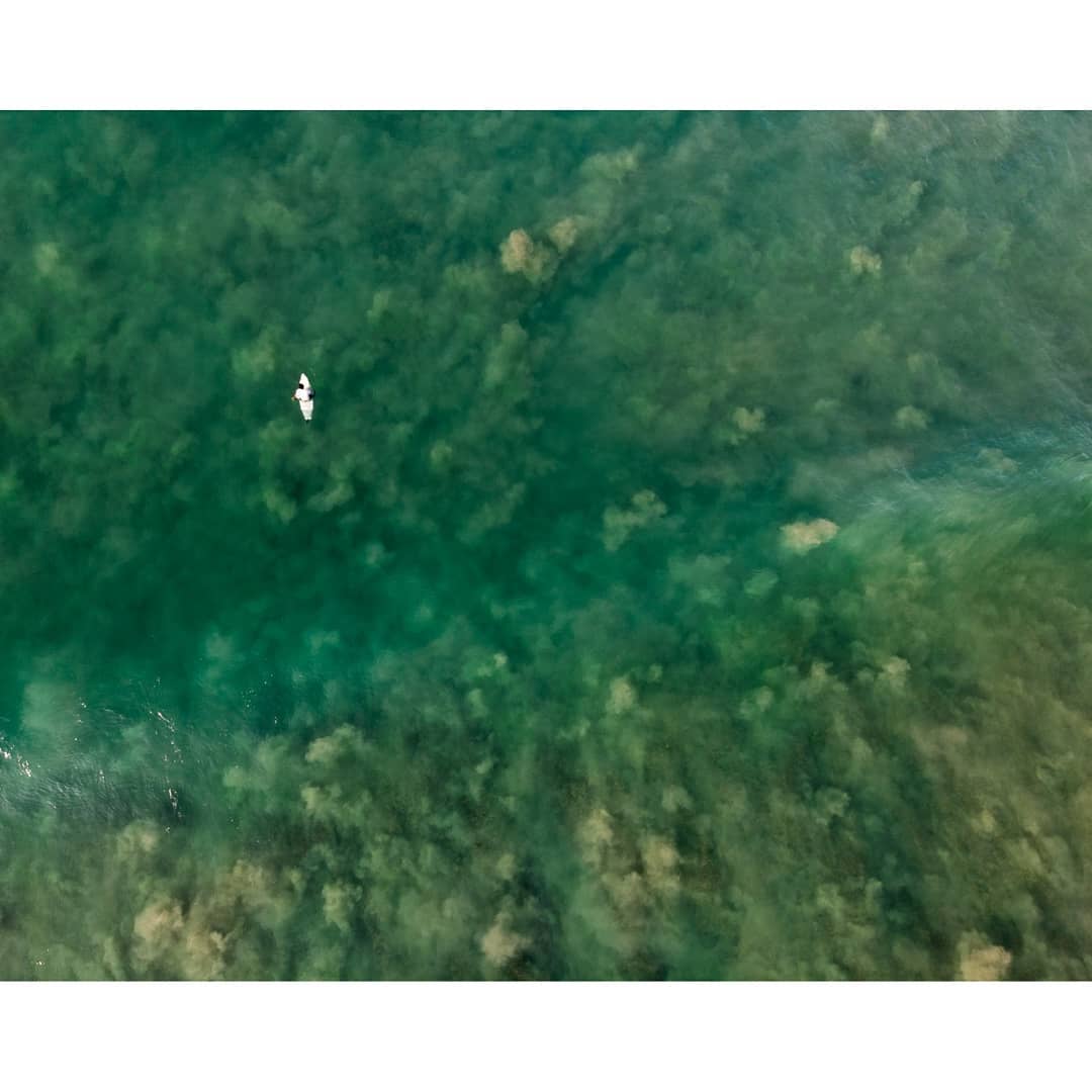 Mali8a's tweet photo. Drone footage from Sri Lanka....... #tr1p0t #dji djimavicair #mavicair #SriLanka #Ceylon #SLK #fromabove #instatravel #travel #drone #instadrone #fromwhereIdrone #sea #surf #beach

@marica_stefania @breakpointsurfschool @sardiniamarco https://t.co/5h1hDvpiSR