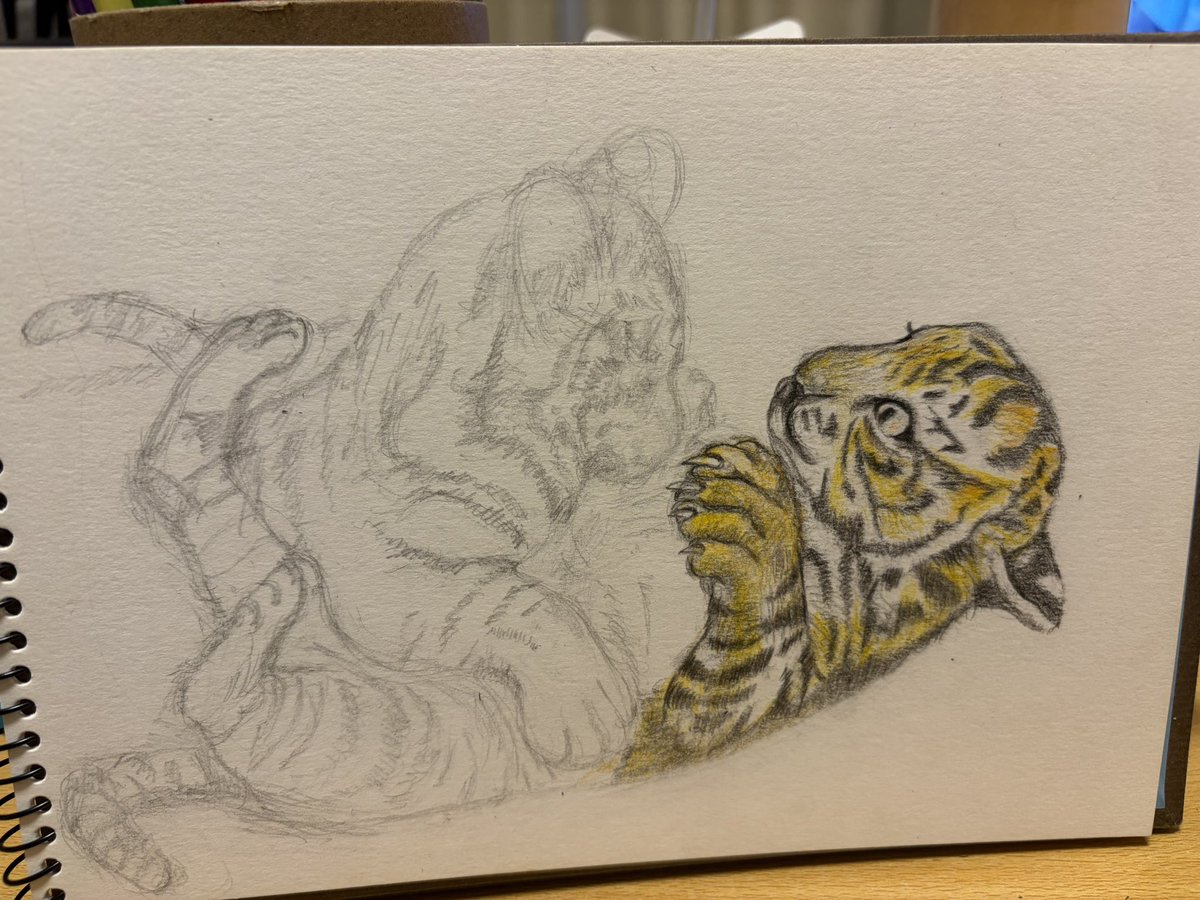 Vampire__neko's tweet photo. 下書きから全て手描きで
🐯阪神タイガース優勝🏆
願いながら描いてま

構図は優勝してキャッキャッしてる左テル右もりし🐯♡🐯

優勝までに仕上げるよ！

#阪神タイガース
#優勝祈願
#色鉛筆画 https://t.co/hmez4jTxCG