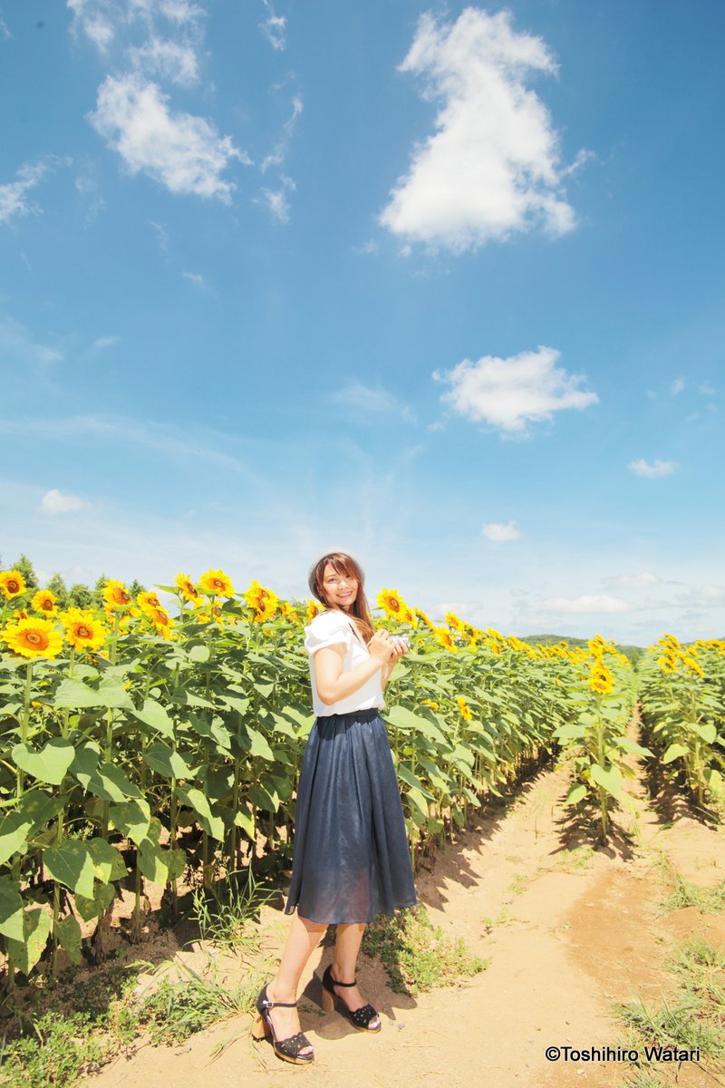 watari_ism tweet picture