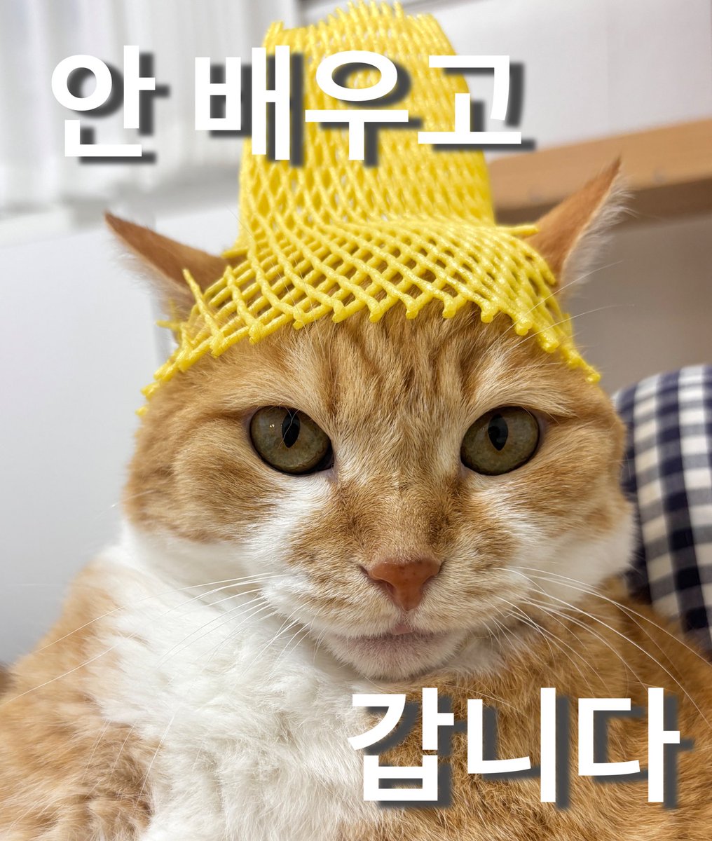 alldayudon's tweet photo. 네. https://t.co/UQ9yocU5Ey