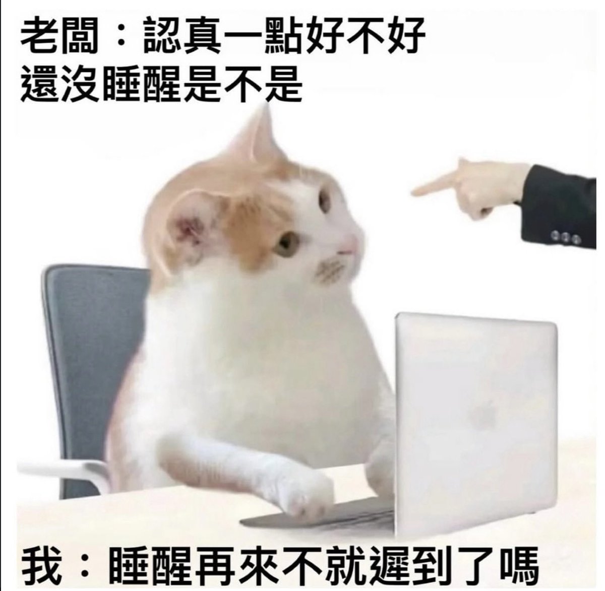 kouitu_sin's tweet photo. 早安 有睡飽嗎 https://t.co/RNgw6Iokmr
