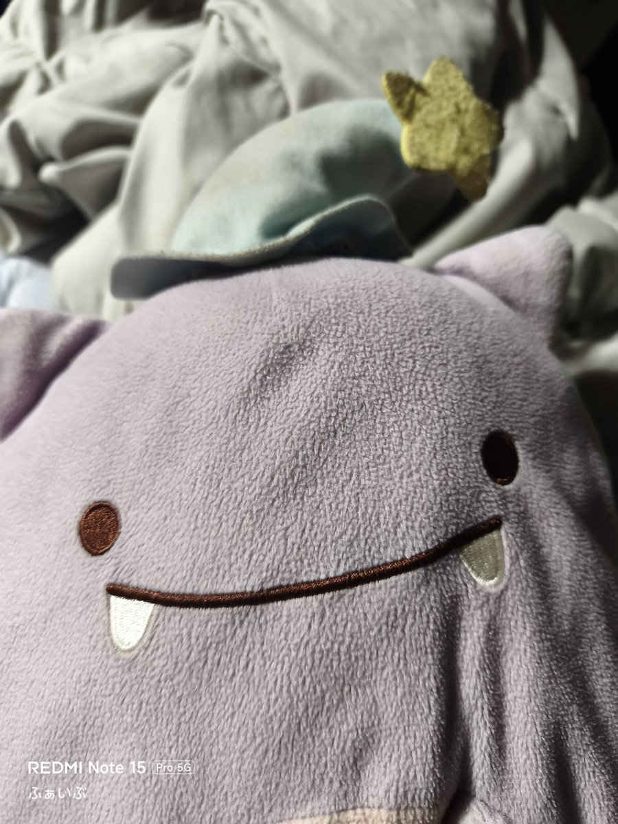 9216test9216's tweet photo. ふぁいぶ…昼寝しよう🙂 https://t.co/dEsFziTZoR