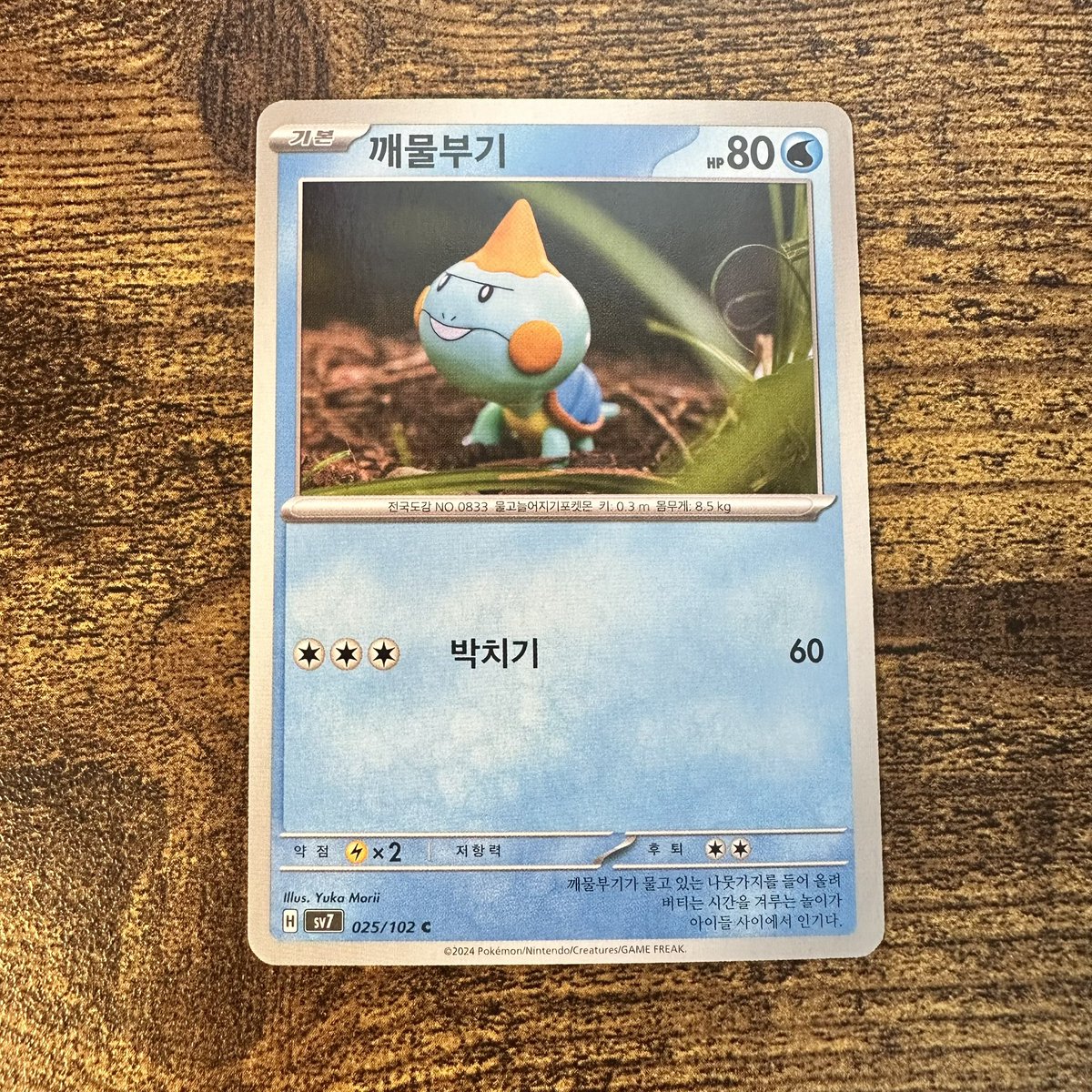 NinjaRosemary's tweet photo. #pokemon #pokemontcg #yukamorii #chewtle https://t.co/VI7lAbLc5m