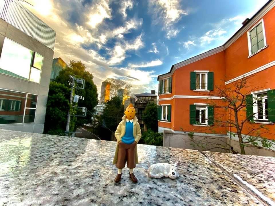 TINTIN_JAPAN tweet picture