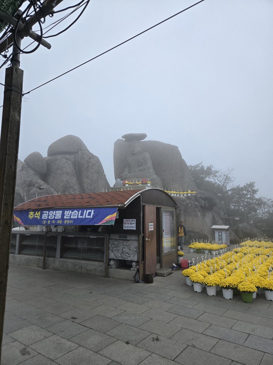 geonyun11's tweet photo. 出勤まであと2日だから、生活リズムを戻そうと思って登山に行ってきました！！ 登山〜〜ヤッホー〜〜✌️

​#登山 #山登り #日常 #今日の日常 #日常記録 #今日の出来事 https://t.co/WP9PgrCSse