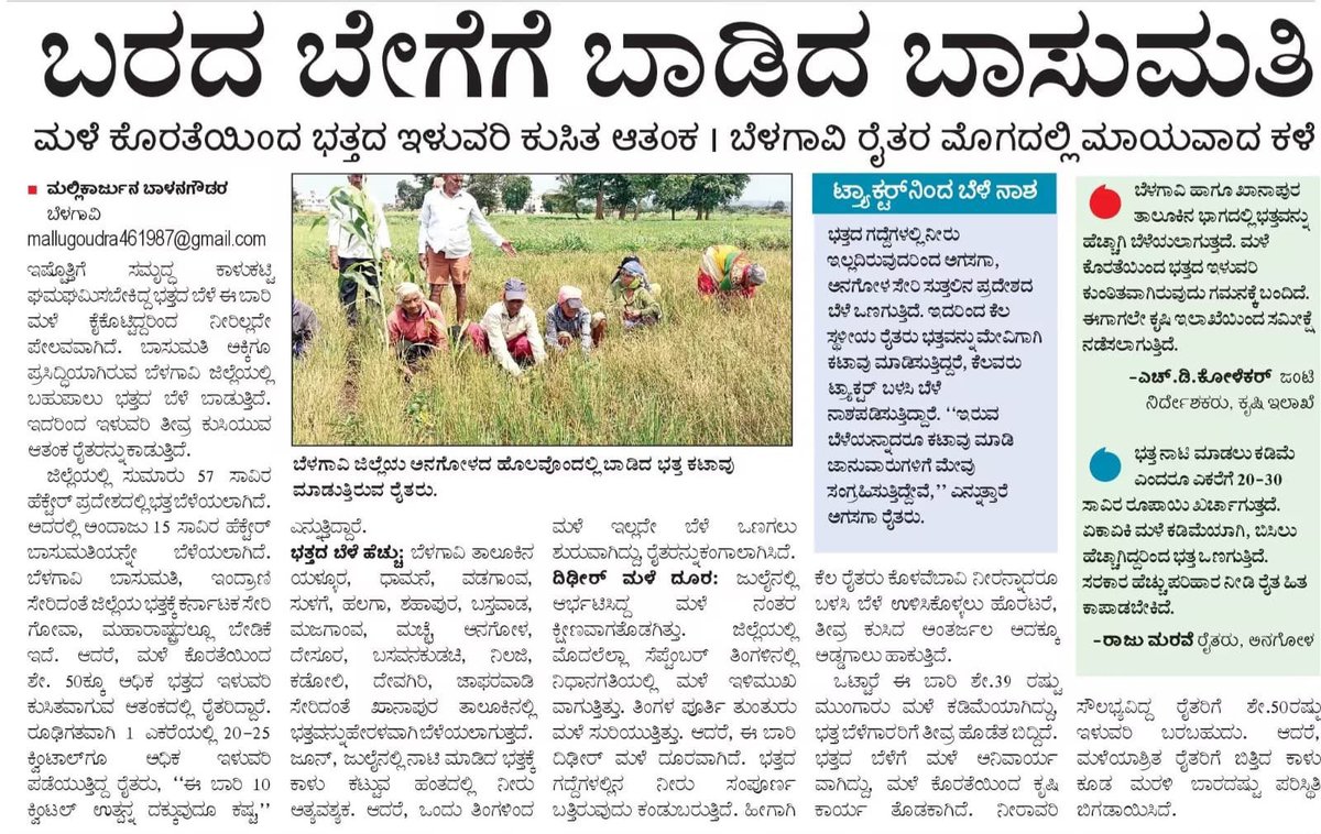 BYVijayendra's tweet photo. ರಾಜ್ಯದಲ್ಲಿ ಬರಗಾಲದ ಭೀಕರತೆಗೆ ಅನ್ನದಾತ ಕಣ್ಣೀರಲ್ಲಿ ಕೈ ತೊಳೆಯುತ್ತಿದ್ದರೂ, ಈ ದಪ್ಪ ಚರ್ಮದ @INCKarnataka ಸರ್ಕಾರ ಪೂರ್ಣ ಕುರುಡಾಗಿ ಕುಳಿತಿದೆ! 50 ತಾಲೂಕುಗಳಲ್ಲಿ 84,000 ಹೆಕ್ಟೇರ್ ತೆಂಗು ನಾಶವಾಗಿ 592 ಕೋಟಿ ರೂ.ಗಳಿಗೂ ಹೆಚ್ಚು ನಷ್ಟ ಸಂಭವಿಸಿದೆ. ಫಲ ನೀಡಲು ವರ್ಷಗಳೇ ಬೇಕಾಗುವ ತೆಂಗಿನ ಮರಗಳು ಒಣಗಿ, ರೈತರ ಮುಂದಿನ 3 ವರ್ಷಗಳ ಭವಿಷ್ಯವೇ ಬೀದಿಗೆ ಬಿದ್ದಿದೆ. 

ಬೆಳಗಾವಿಯೊಂದರಲ್ಲೇ 15,000 ಹೆಕ್ಟೇರ್ ಬಾಸುಮತಿ ಸೇರಿದಂತೆ 57,000 ಹೆಕ್ಟೇರ್ ಭತ್ತದ ಬೆಳೆ ಶೇ. 50ಕ್ಕಿಂತ ಹೆಚ್ಚು ಹಾನಿಗೊಳಗಾಗಿದೆ. ಎಕರೆಗೆ ಹತ್ತಾರು ಸಾವಿರ ರೂಪಾಯಿ ಹೂಡಿಕೆ ಮಾಡಿದ ನಮ್ಮ ರೈತರು, ಸಾಲದ ಸುಳಿಗೆ ಸಿಲುಕಿ ಅನಿವಾರ್ಯವಾಗಿ ಟ್ರ್ಯಾಕ್ಟರ್‌ಗಳಿಂದ ಬೆಳೆ ನಾಶಪಡಿಸುವ ಹಾಗೂ ಮೇವಿಗಾಗಿ ಅಕಾಲಿಕ ಕೊಯ್ಲು ಮಾಡುವ ದಯನೀಯ ಪರಿಸ್ಥಿತಿ ಎದುರಿಸುತ್ತಿದ್ದಾರೆ!

'ಕೃಷಿ ಭಾಗ್ಯ' ಯೋಜನೆಯಡಿ ನಿರ್ಮಿಸಿದ 2.5 ಲಕ್ಷ ಕೃಷಿ ಹೊಂಡಗಳಲ್ಲಿ ಶೇ.70 ರಷ್ಟು ಹೊಂಡಗಳು ಸಂಪೂರ್ಣ ಒಣಗಿ ಹೋಗಿವೆ. ನೀರಿಲ್ಲದೆ, ಅಂತರ್ಜಲ ಕುಸಿದು ಕೃಷಿ ಹೊಂಡಗಳು ಕೇವಲ 'ಖಾಲಿ ಗುಂಡಿ'ಗಳಾಗಿ ಉಳಿದಿವೆ. 

ಖಜಾನೆ ಲೂಟಿ ಮಾಡಿ, ಗ್ಯಾರಂಟಿಗಳ ನೆಪ ಒಡ್ಡಿ ಅನ್ನ ನೀಡುವ ರೈತನ ಜೀವ ಹಿಂಡುತ್ತಿರುವುದೇಕೆ ಮಾನ್ಯ ಮುಖ್ಯಮಂತ್ರಿ ಶ್ರೀ @DKShivakumar ರವರೇ? ತಕ್ಷಣವೇ ಪ್ರತಿ ಎಕರೆಗೆ ವೈಜ್ಞಾನಿಕ ಪರಿಹಾರ ಘೋಷಿಸಿ, ಇಲ್ಲದಿದ್ದರೆ ರೈತರ ಪರವಾಗಿ ರಾಜ್ಯಾದ್ಯಂತ ನಮ್ಮ ಹೋರಾಟ ಇನ್ನಷ್ಟು ಪ್ರಬಲವಾಗಿ ನಡೆಯುವುದು ನಿಶ್ಚಿತ!

#CongressFailsKarnataka #RaitaVirodhiCongress