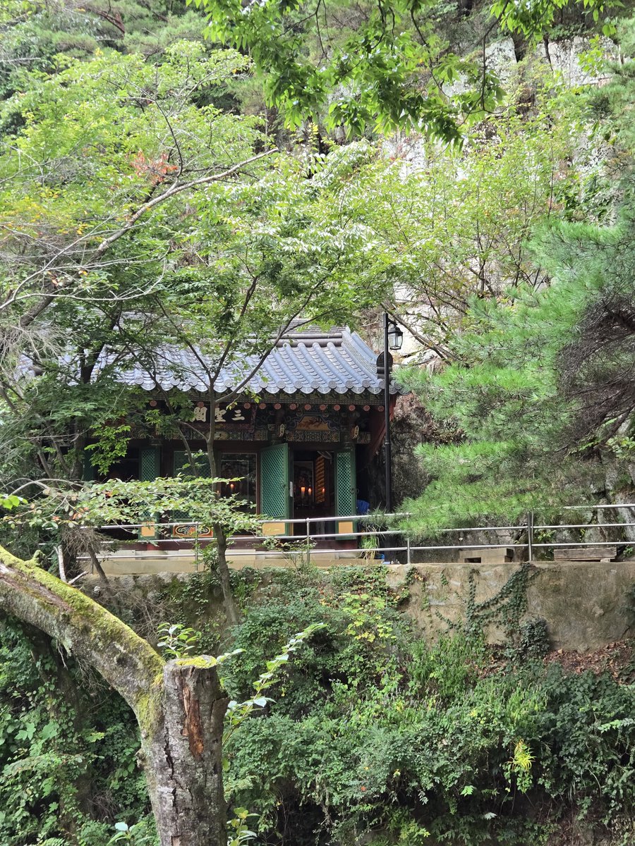 geonyun11's tweet photo. 登山中に遭遇したリスさん！！ 🐿 

​#登山 #山登り #日常 #今日の日常 #日常記録 #今日の出来事 https://t.co/al1a8Hr4AA