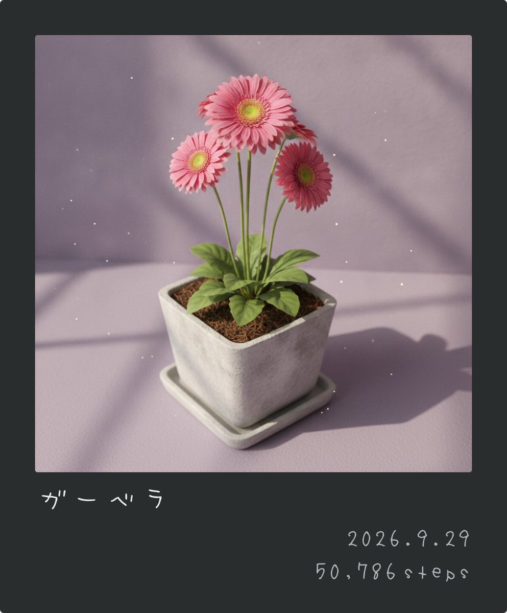 tsuki_2ki8's tweet photo. ガーベラ咲いた
花言葉は「希望、前進」
次は何かなぁ #pixelpot https://t.co/S9Xn9yI8RV