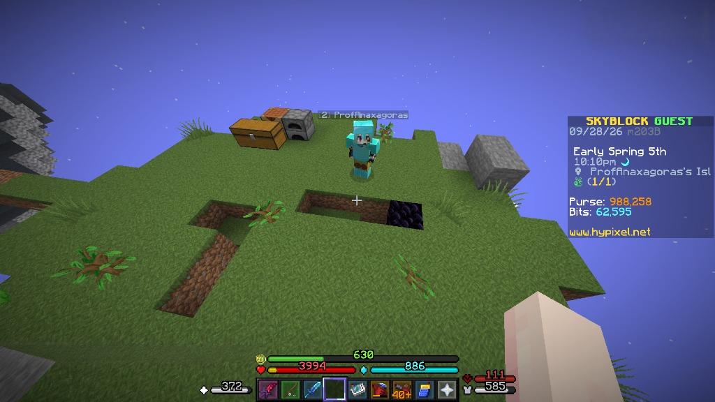 skyblockfemcel's tweet photo. she tried hypixel skyblock for the first time and this is what i see on her island https://t.co/oLiuQvzLVL