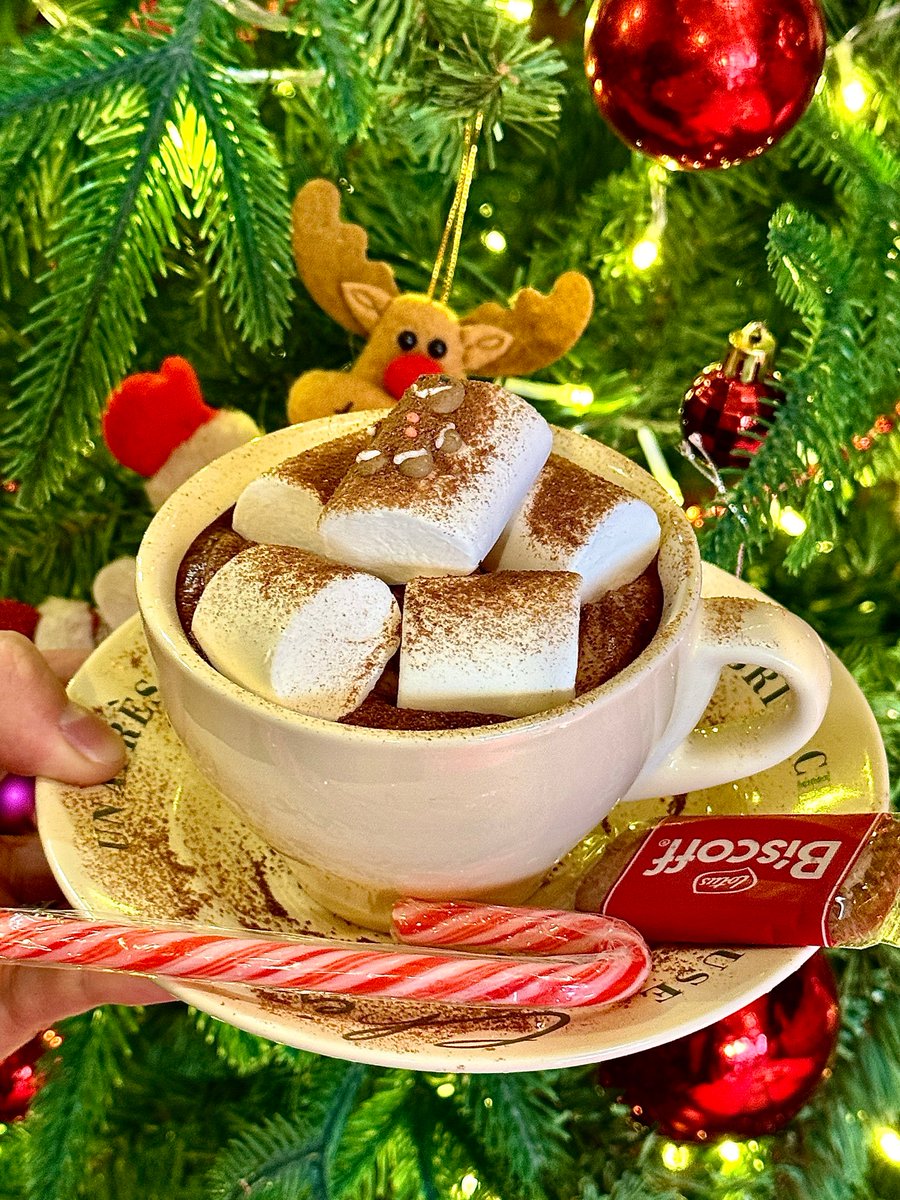 RoyToppi's tweet photo. May your days sparkle brighter than holiday lights and your heart stay as warm as hot cocoa! https://t.co/H6vKIkASbO