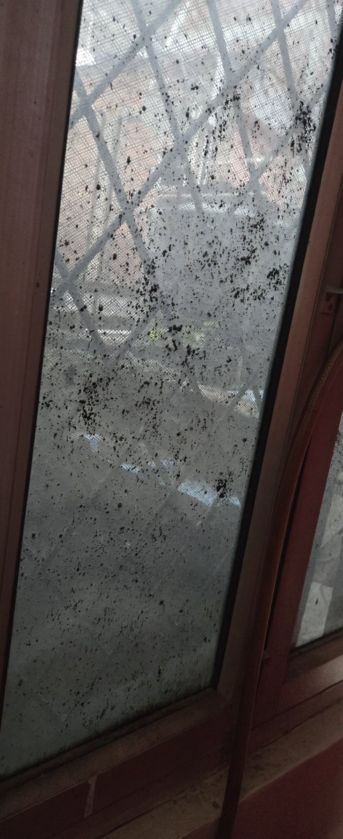 KeshavP03213345's tweet photo. @bookingcom Shameful behavior by @bookingcom they are not addressing my issue,  asking me to tell to the property while I was staying in that property,  see how can somebody stay here. @nch1915 @consumerforum_ @DelhiComplaint https://t.co/7m8URzxoRB