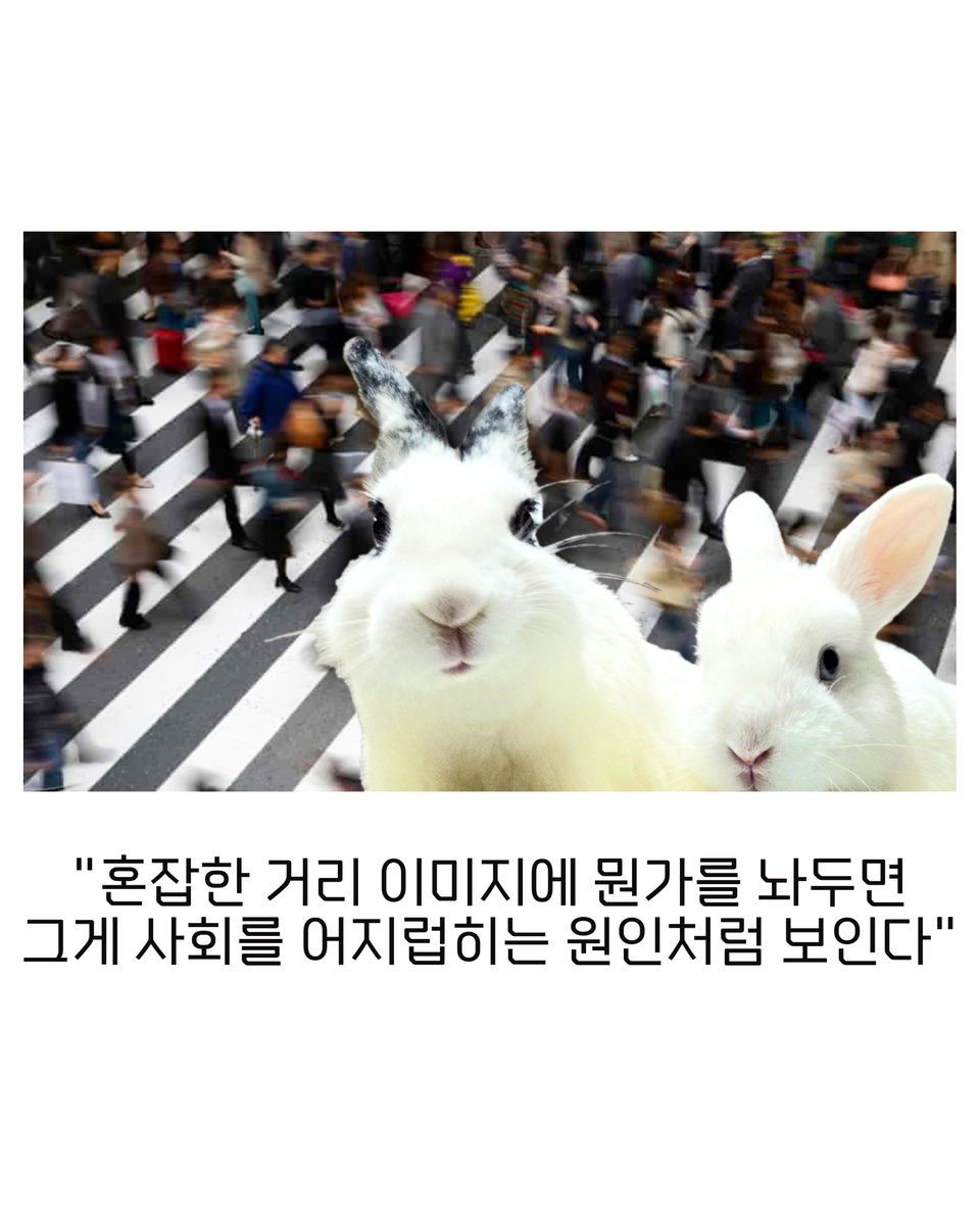 savethebunnies_'s tweet photo. 이 밈을 공유하기 위해 돌아왔습니다 https://t.co/zsSIIsU2Hp