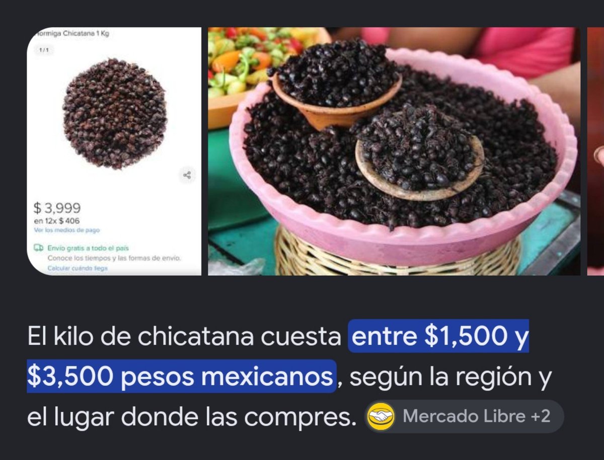 lulucho_21's tweet photo. @ailennpp Para los que sean del centro o norte de México y de Latam y no conozca este platillo exótico, porque es lo que es, mayormente se "caza" en Grandes cantidades para venta.
Pero entiendo que en argentina también hay comidas exóticas como el burro pero hasta eso es más barata. https://t.co/dqLq0OelXf