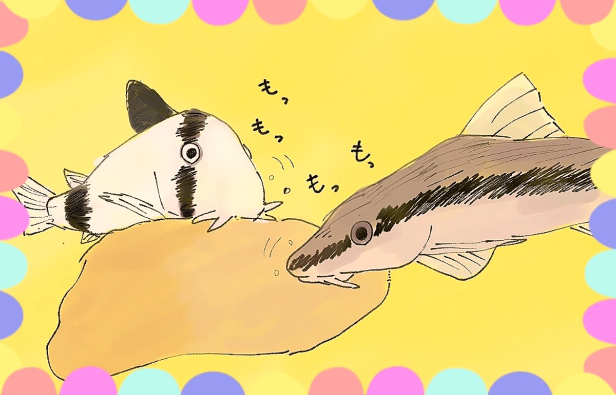 assyo8 tweet picture