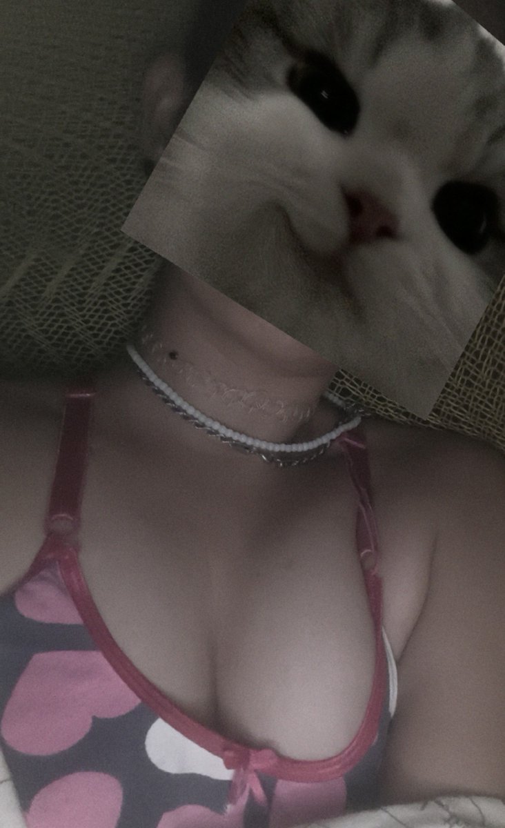 Kittyuwukitty's tweet photo. Meeeeh https://t.co/bCBaYU1c6f