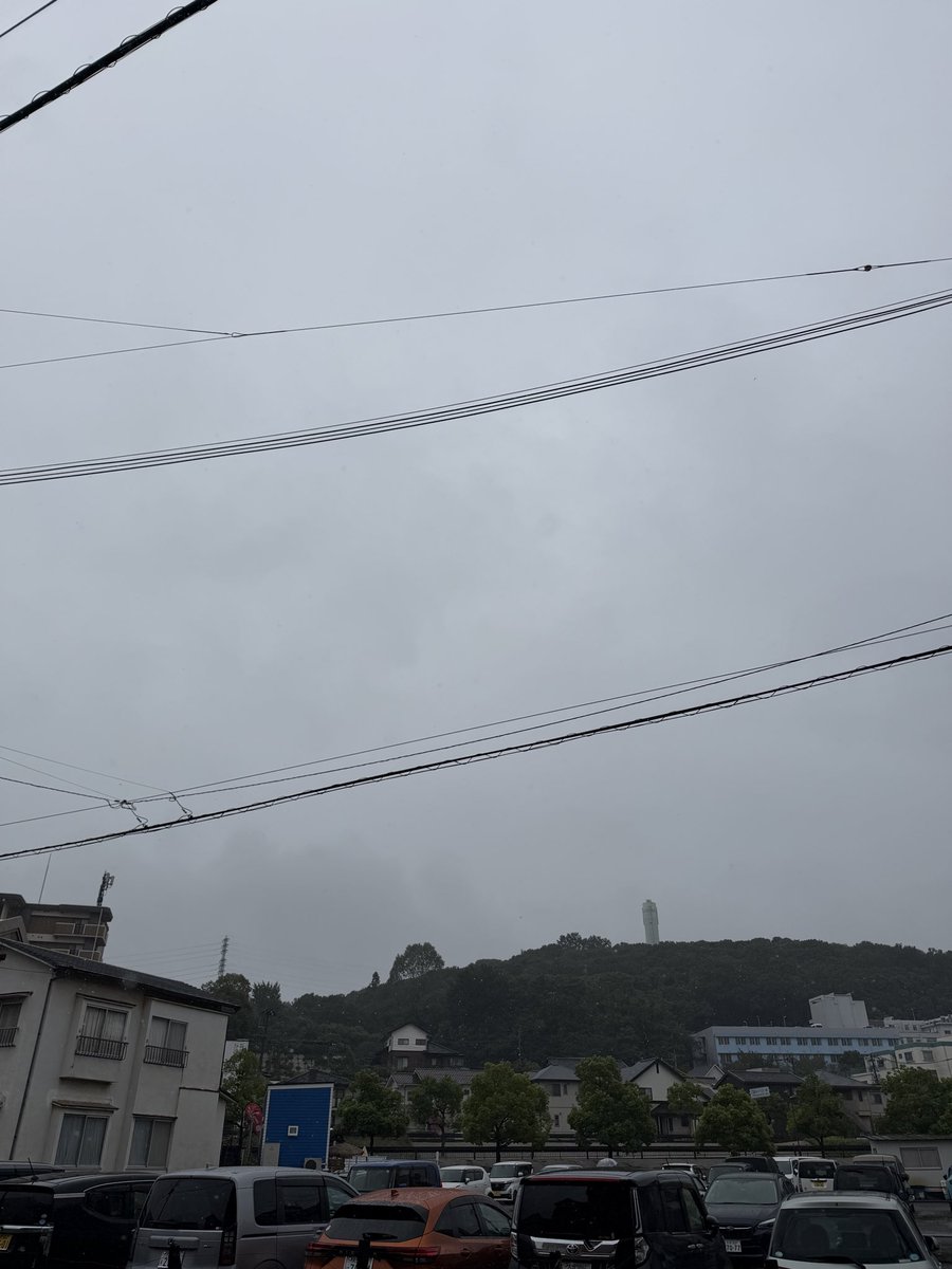 MVSP_Q's tweet photo. おはようございます

本日も昨日に引き続き、朝から雨の大分市です☔️
今月はこれまでに比べてほぼ雨だったような気がしますね

9月もあと2日…本日もよろしくお願いします🍂 https://t.co/Bw94FhcUem