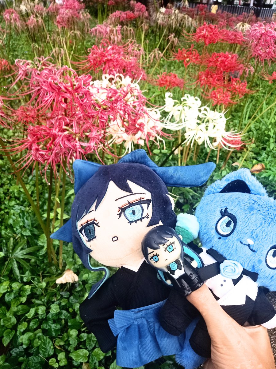 takeuchi516q tweet picture
