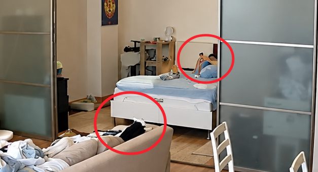 A messy bedroom scene with two red circles highlighting a dog and a cat sitting on a bed, with clothes and items scattered around.
