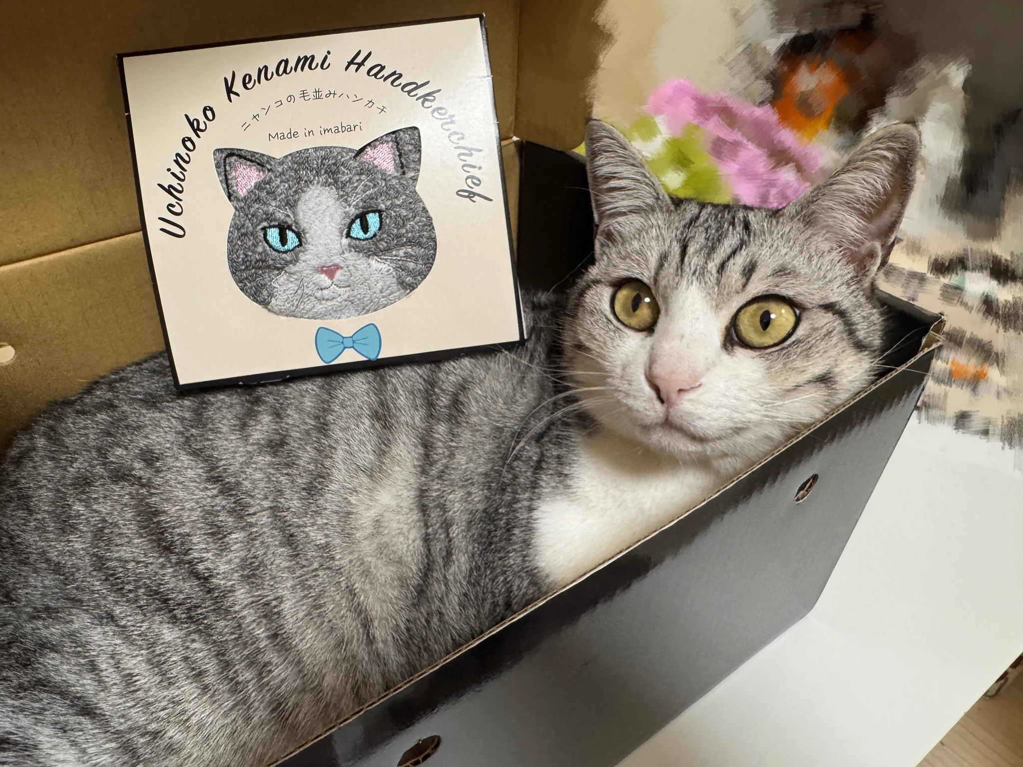 猪狩ともか🌻 on X: 