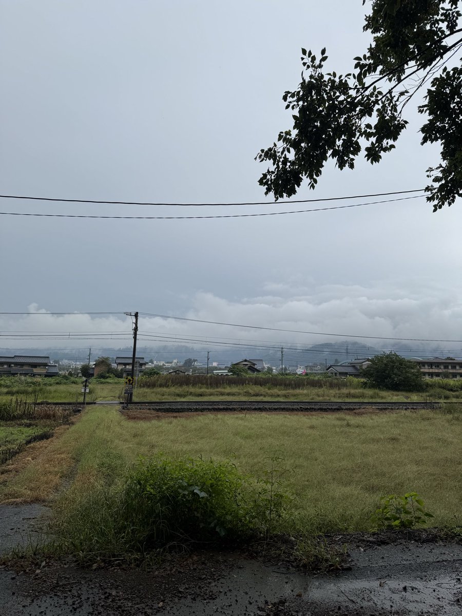 taitaijp's tweet photo. 本日も雨、 https://t.co/mWcxFirwCx