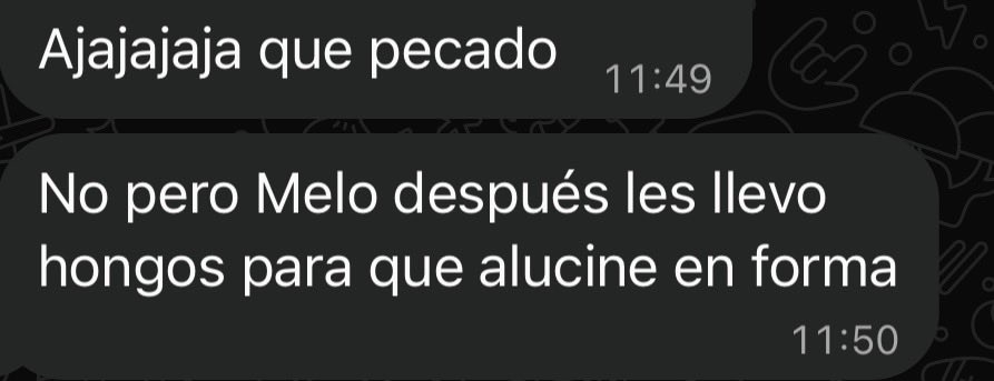 payaso_prb's tweet photo. Ahh bueno, probando tdo rápidamente ent #drugtwt #drugstwt https://t.co/jU8nOu4SH5
