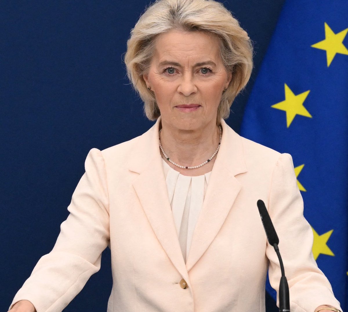 RippleXrpie's tweet photo. 🚨HOLY CRAP! 🇪🇺🇩🇪 GERMANY'S RIGHT-WING PARTY 'AFD' SAYS URUSLA VON DER LEYEN IS STUPID! 

ALICE WEIDEL: "Donald Trump wants CHEAP resources, while the STUPID European Union wants the OPPOSITE. 

How stupid can someone be?" https://t.co/UvFsgsnK34