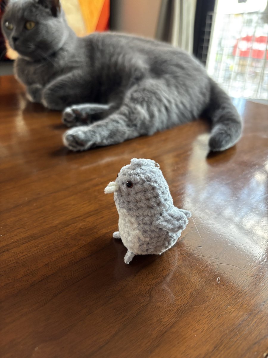 bessiegomame's tweet photo. 同系色のふたり。この後ごまにペシってされて吹っ飛んだペンギンちゃん
#猫との暮らし #catlovers #ごま #meetang https://t.co/67VtUOfMC0