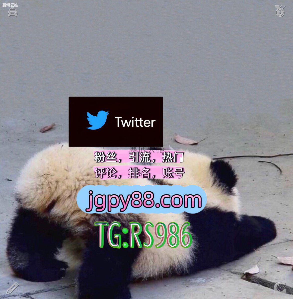 unin00sushi's tweet photo. 愿你生活不复杂人心不复杂简单就幸福🧣
推特账号购买推特账号 
粉丝号 关键词霸屏🧳熱門🌈权重号🌟推特老号🍄定時發推💐 格尔木霸屏🪐群发私信💐海外获客🍀
海外流量、品牌推广、社媒营销安岳 海外获客🪐主人的任务🌱
热门号靖江 矩阵互动🌞輔助工具🌂🤖 https://t.co/VlMgIp89xP