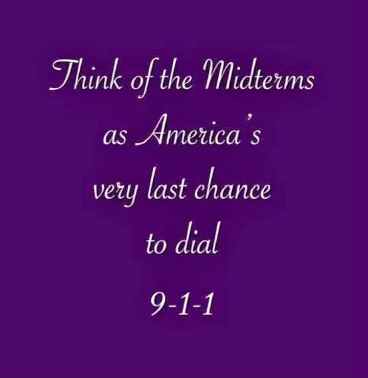 MJdowntheshore's tweet photo. #VoteBlueToSaveAmerica https://t.co/J4EsvWBBum
