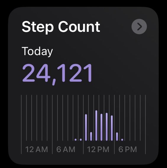 yanggloaf's tweet photo. steps 4 todayyy + fasting , currently at 24 hours !! https://t.co/9echb6QnM9