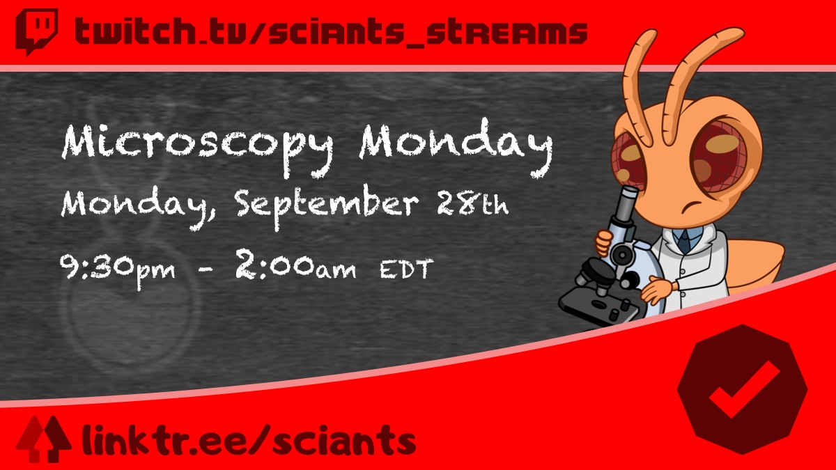 SciAnts_Media's tweet photo. It's Microscopy Monday! Join us as we examine tiny worlds under the microscope with fossils, insects, and more, with a special deep dive on amber!
9pm EDT
#science #twitch #TwitchPartner #live #stem #sciants #livestream #scicomm #twitchambassador
https://t.co/C9Y3oAHdqW https://t.co/SOx5vls9zQ