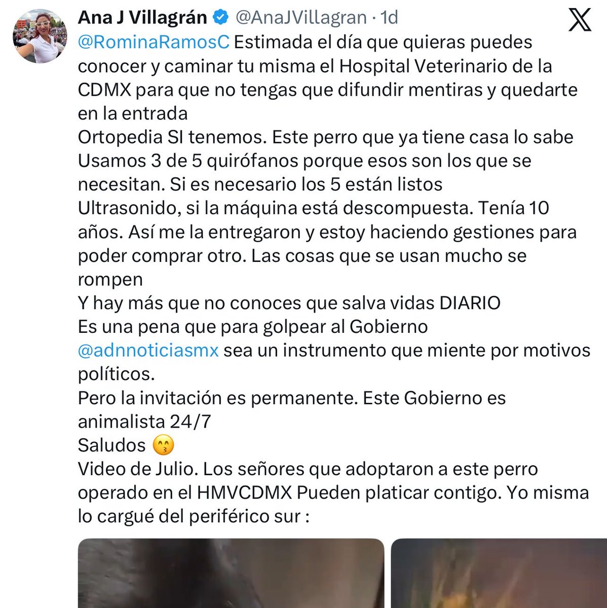 YoAmoaLaCiencia tweet picture