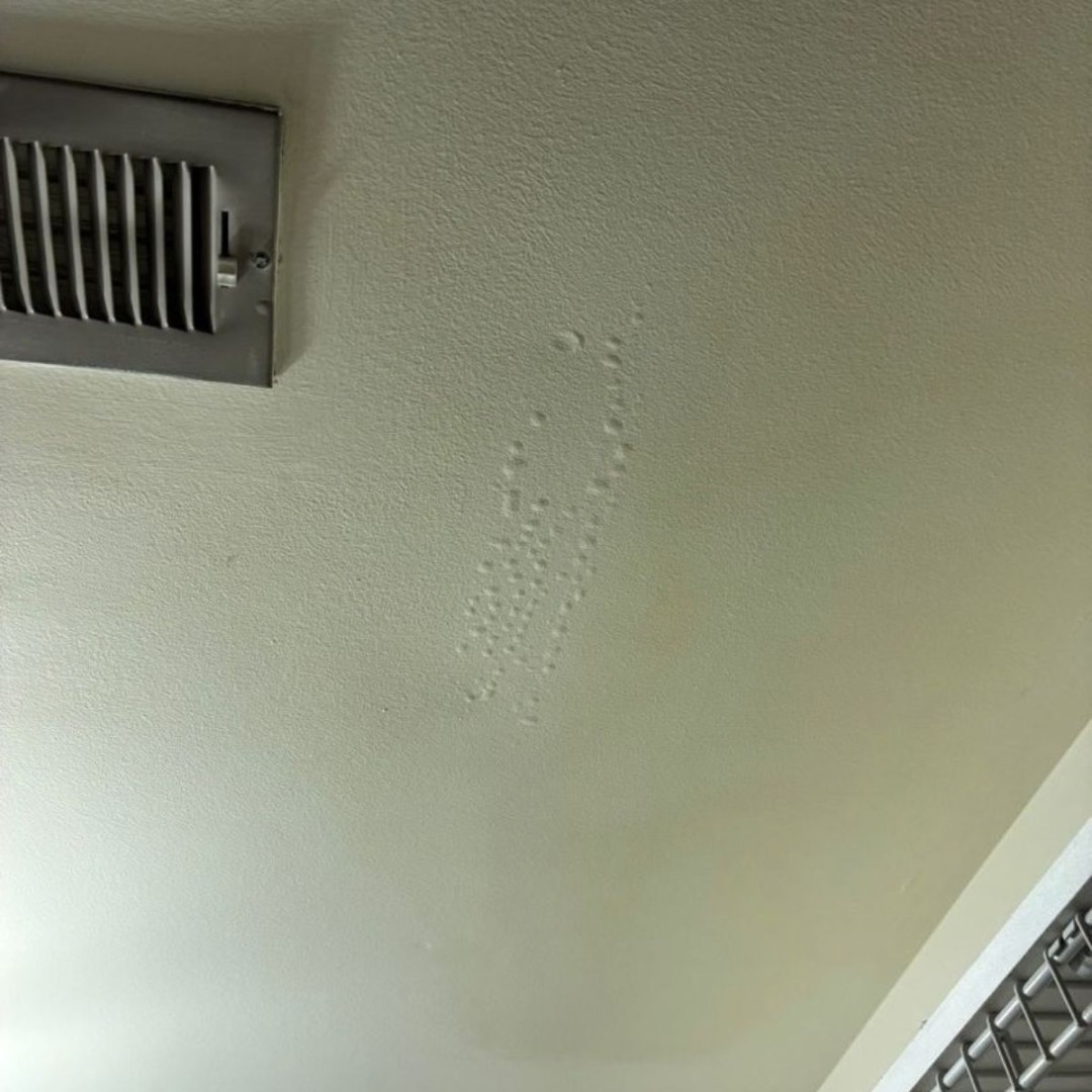 DRYmedic_'s tweet photo. Visible water damage can be just the beginning. 💧 Our team uses professional moisture detection equipment to assess affected areas and determine the next steps for mitigation.

Need water damage help? Call (615) 617-5078.

#WaterDamage #NashvilleTN https://t.co/OBPAODfFig