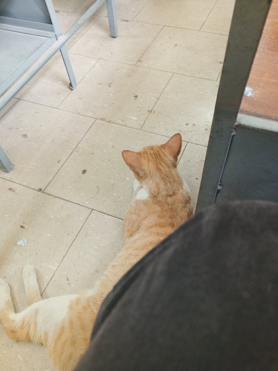 _aguustin13's tweet photo. Stupid idiot (lovingly) who did not shut up at all during class https://t.co/ZPG0zO8yyH