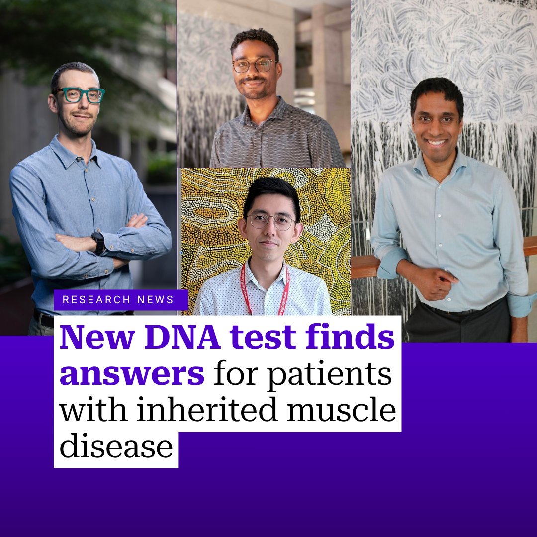 GarvanInstitute's tweet photo. A world-first test developed by Garvan researchers has identified the genetic cause of inherited muscle disease in people who spent years – sometimes decades – without answers.
👉 https://t.co/6FXPPlysGA

 #GeneticResearch #MedicalResearch #InheritedMuscleDisease https://t.co/aAnmMReQ49