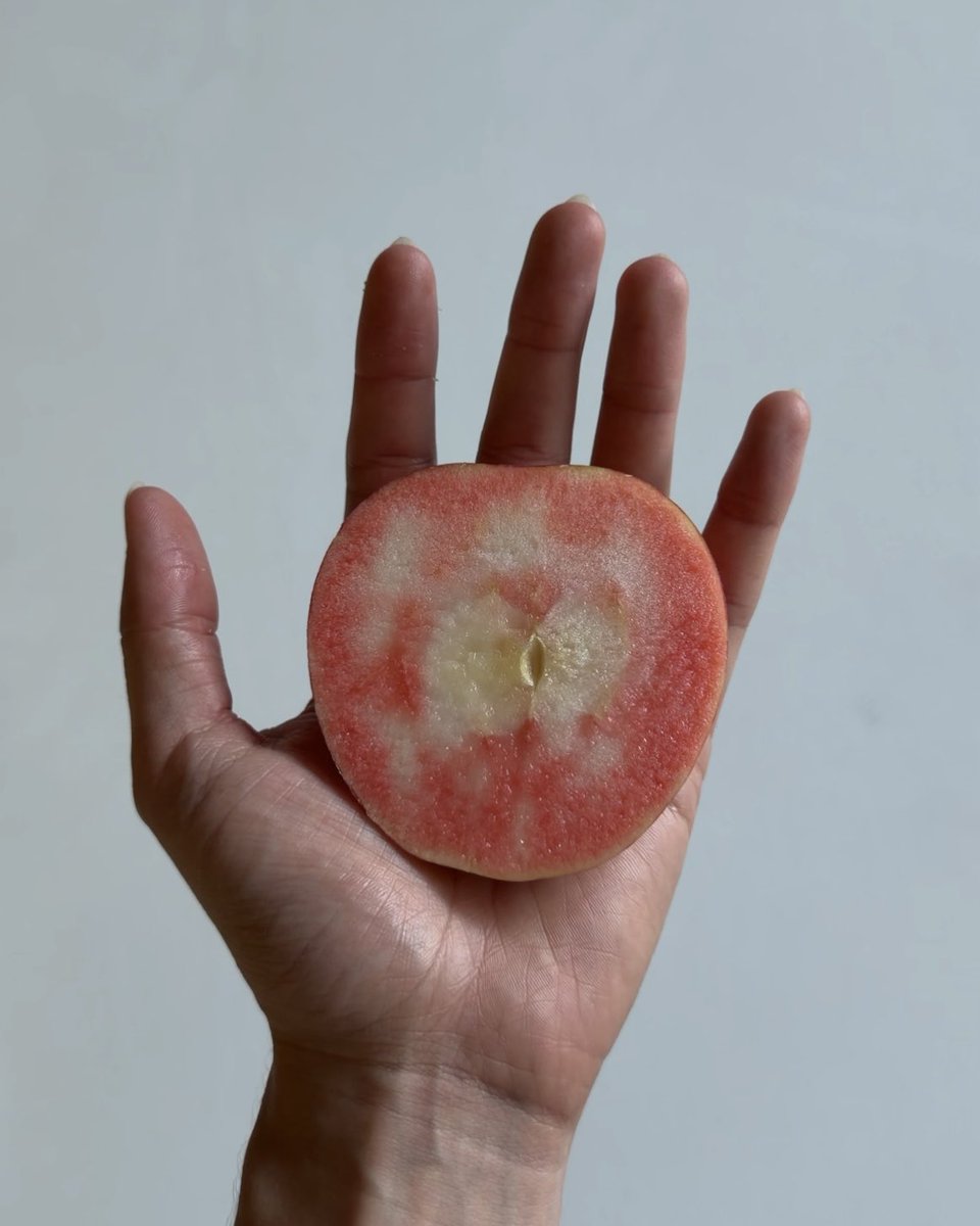 earlygirl__'s tweet photo. life can be good when you have an exciting apple waiting for you at home https://t.co/c11Ueuz4Or