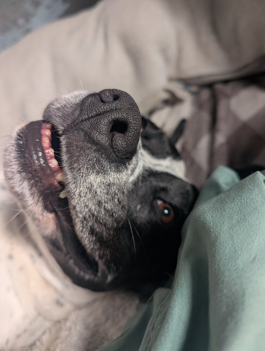 doritodogwx's tweet photo. "These edibles ain't shit"
20 minutes later: https://t.co/fvYix1r33T
