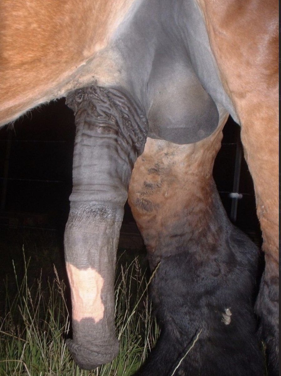 vorehorse's tweet photo. A lot of you thursty sluts need to come take a drink https://t.co/XjkBK7w6b2