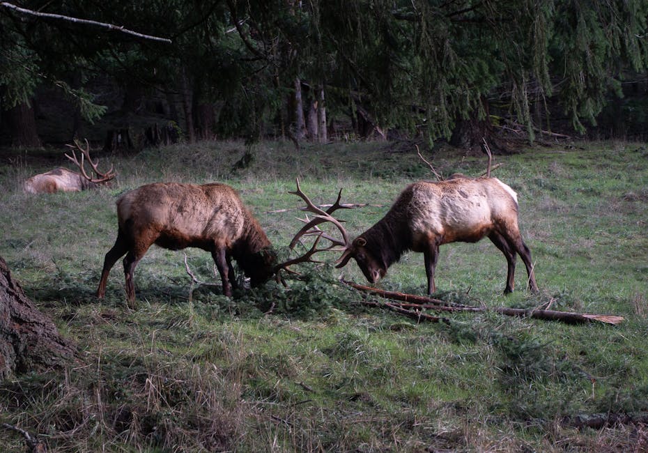 EdwardJamemz's tweet photo. في مرة تقف أقوى. كل تسقط فيها، تتعلم كيف بشكل val scafe https://t.co/HYYMiJV5Jg